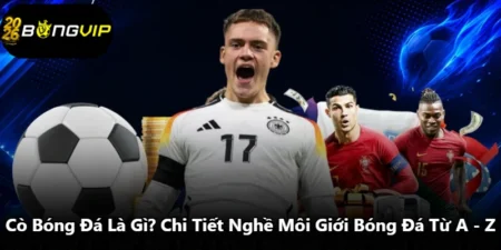 Cò Bóng Đá Là Gì? Chi Tiết Nghề Môi Giới Bóng Đá Từ A - Z