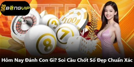 Hôm Nay Đánh Con Gì? Soi Cầu Chốt Số Đẹp Chuẩn Xác
