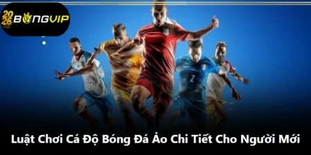 Luật Chơi Cá Độ Bóng Đá Ảo Chi Tiết Cho Người Mới