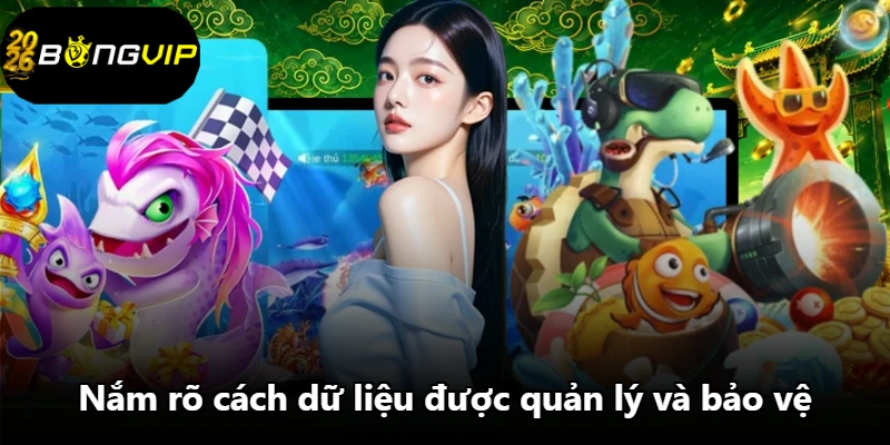 Nắm rõ cách dữ liệu được quản lý và bảo vệ