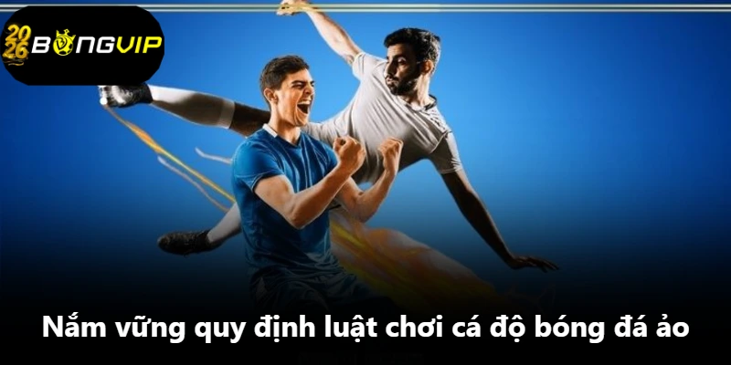 Nắm vững quy định luật chơi cá độ bóng đá ảo