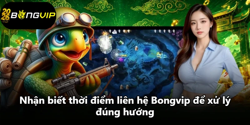 Nhận biết thời điểm liên hệ Bongvip để xử lý đúng hướng