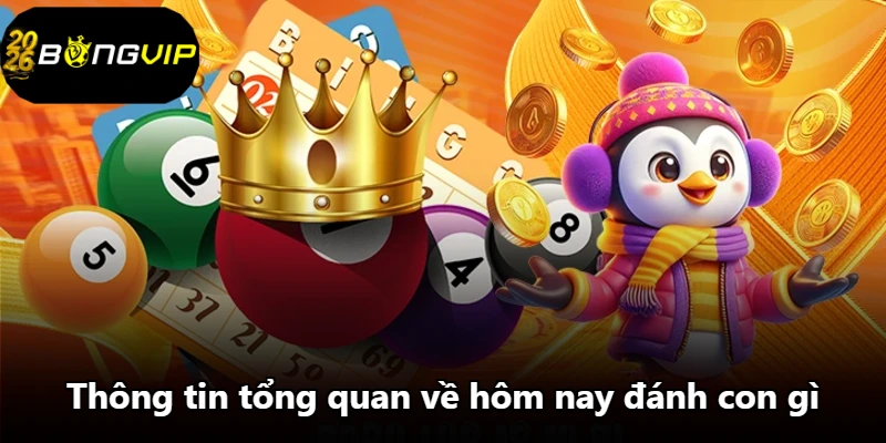 Thông tin tổng quan về hôm nay đánh con gì