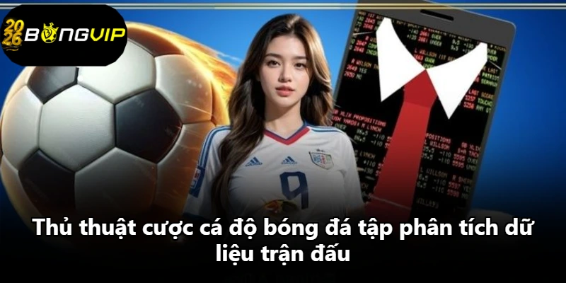 Thủ thuật cược cá độ bóng đá tập phân tích dữ liệu trận đấu