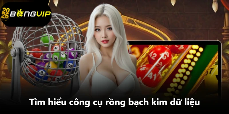 Tìm hiểu công cụ rồng bạch kim dữ liệu