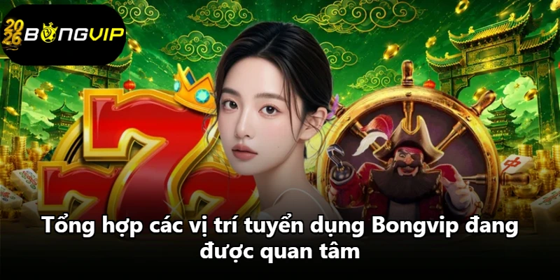Tổng hợp các vị trí tuyển dụng Bongvip đang được quan tâm